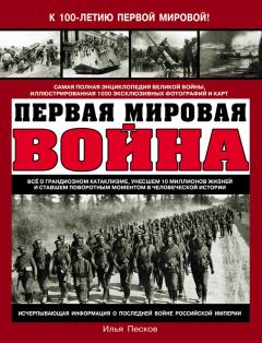 Книга - Первая Мировая война. Илья Викторович Песков - прочитать в Litvek