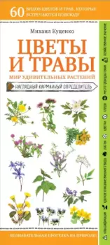 Книга - Цветы и травы. Мир удивительных растений. Михаил Евгеньевич Куценко - читать в Litvek
