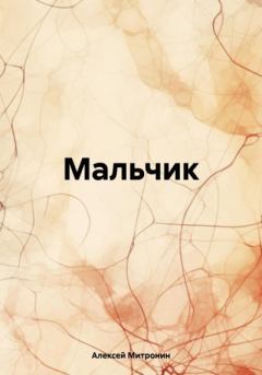 Книга - Мальчик. Алексей Митронин - читать в Litvek