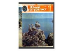 Книга - Юный натуралист 1983 №11. Журнал «Юный натуралист» - прочитать в Litvek