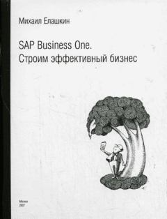 Книга - SAP Business One. Строим эффективный бизнес. Михаил Елашкин - читать в Litvek