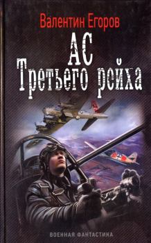 Книга - Ас Третьего рейха. Валентин Александрович Егоров - читать в ЛитВек