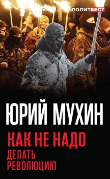 Книга - Как не надо делать революцию. Юрий Игнатьевич Мухин - читать в Litvek