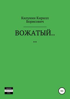 Книга - Вожатый…. Кирилл Борисович Килунин - читать в Litvek