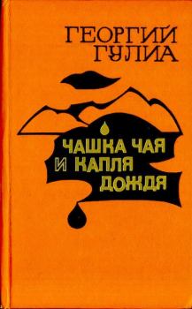 Книга - Чашка чая и капля дождя. Георгий Дмитриевич Гулиа - читать в Litvek