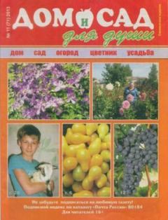 Книга - Дом и сад для души 2013 №11(71).  журнал Дом и сад для души - прочитать в Litvek