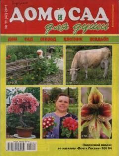 Обложка книги - Дом и сад для души 2011 №11(47) -  журнал Дом и сад для души