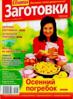 Книга - Сваты Заготовки 2015 №5(5).  журнал «Сваты. Заготовки» - читать в Litvek