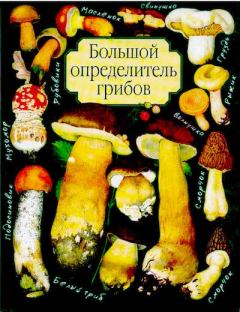 Книга - Большой определитель грибов. А. В. Юдин - прочитать в Litvek