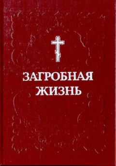 Книга - Загробная жизнь. монах Митрофан  - читать в Litvek