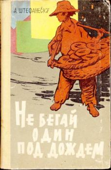 Обложка книги - Не бегай один под дождем - Ал. И. Штефанеску