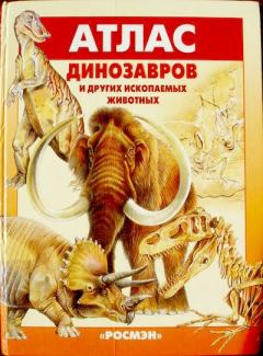 Книга - Атлас динозавров и других ископаемых животных. Евгений Николаевич Курочкин - читать в Litvek