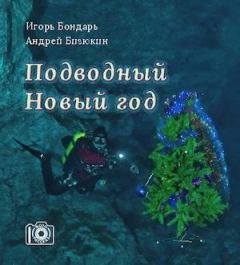 Книга - Подводный новый год. Игорь Бондарь - читать в Litvek