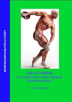Обложка книги - Анатомия с основами спортивной морфологии - В Г Старостин
