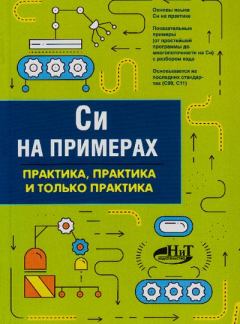 Книга - СИ на примерах. Практика, практика и только практика. Д. М. Кольцов - читать в Litvek