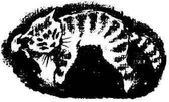 Кошачья Леди. Иллюстрация № 5