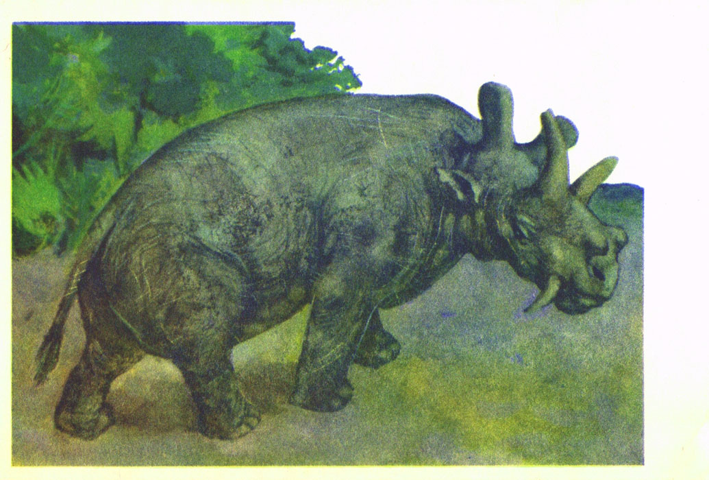 В мире древних животных. Иллюстрация № 5