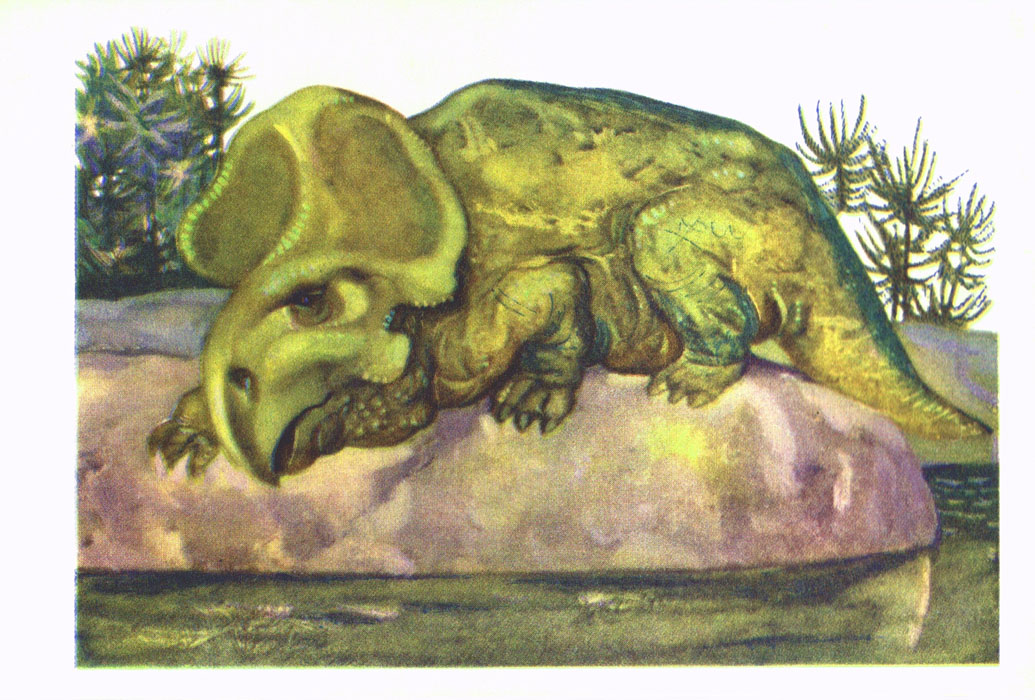 В мире древних животных. Иллюстрация № 15