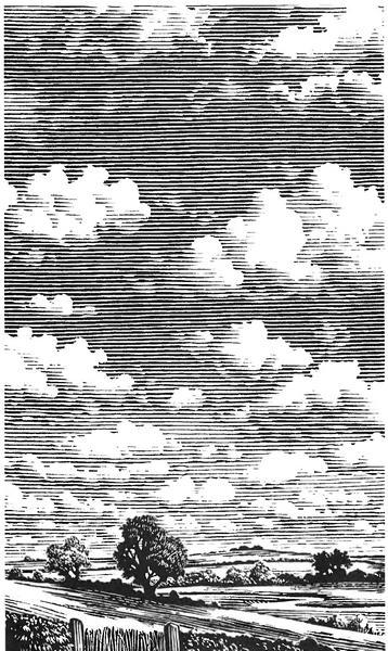 Занимательное  облаковедение.  Учебник любителя облаков. Иллюстрация № 5