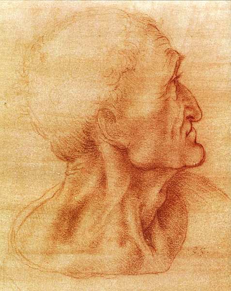 Леонардо да Винчи (1452-1519). Иллюстрация № 6