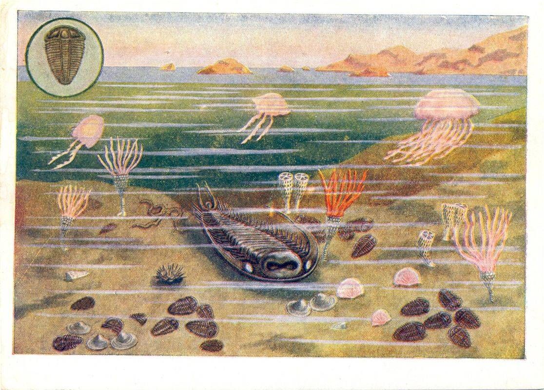 Серия рабочих картин-открыток «Вымершие животные и растения». Иллюстрация № 5