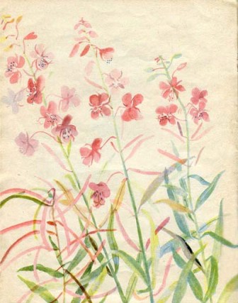 Наши цветы. Иллюстрация № 15
