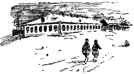 Дом в Цибикнуре. Иллюстрация № 23