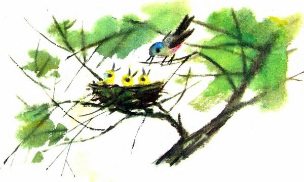 Волшебная птица. Иллюстрация № 8