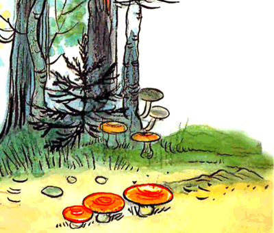 Живые грибы. Иллюстрация № 2