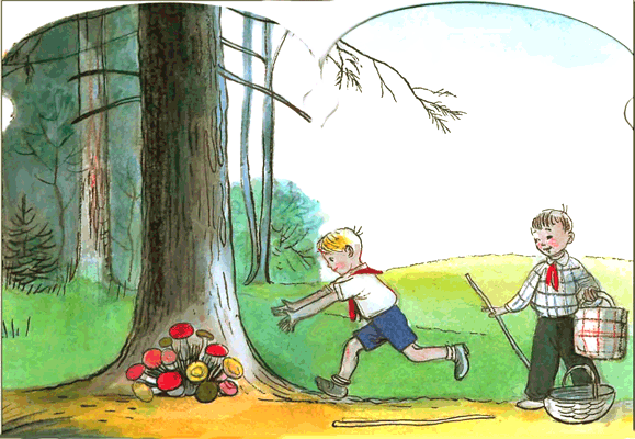 Живые грибы. Иллюстрация № 7