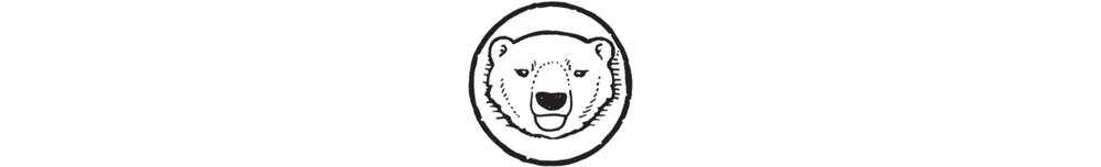 Исследовательский клуб «Полярный медведь». Иллюстрация № 4