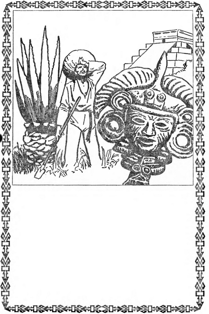Че Гевара. Иллюстрация № 1