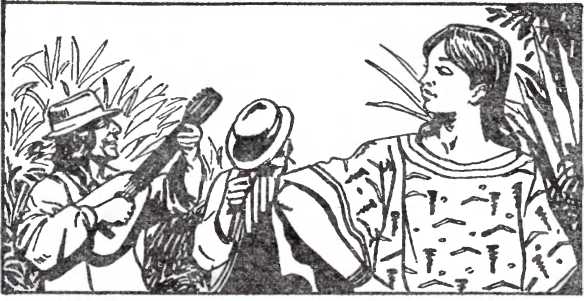 Че Гевара. Иллюстрация № 2