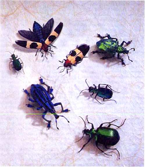 Удивительный мир жуков. Иллюстрация № 4