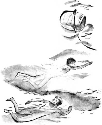 Акула. Иллюстрация № 5