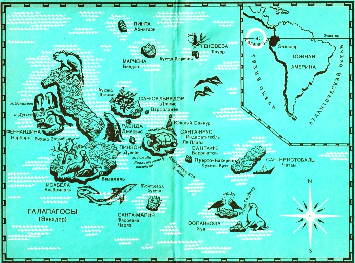 Зачарованные острова Галапагосы. Иллюстрация № 1