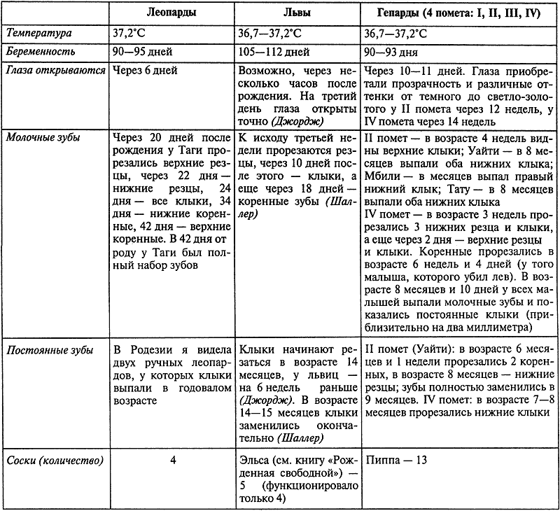 Пиппа бросает вызов. Иллюстрация № 50