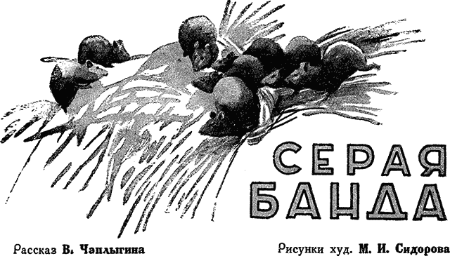 Всемирный следопыт, 1930 № 06. Иллюстрация № 4