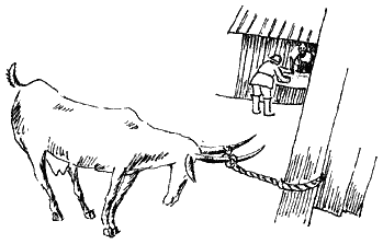 Коза-дереза. Иллюстрация № 4