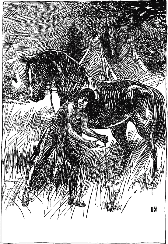 Апок, зазыватель бизонов (др. изд.). Иллюстрация № 1