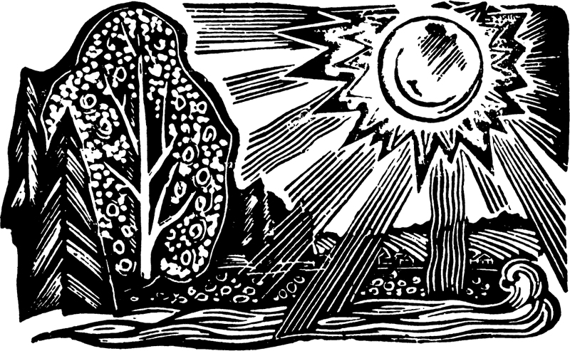 Пера-богатырь с берегов Лупьи. Иллюстрация № 7
