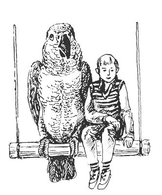 Гарри и попугай. Иллюстрация № 2