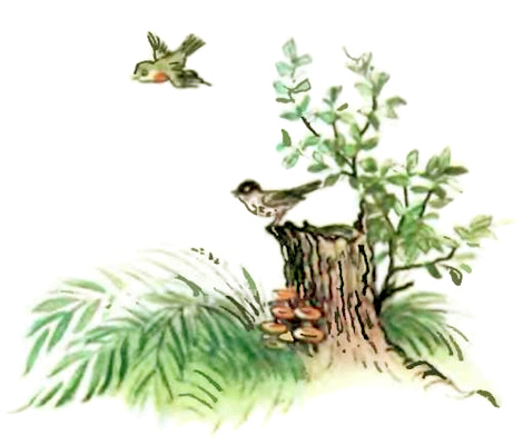 Лесной плакунчик (рис. Сутеева). Иллюстрация № 1