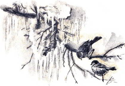 Жук на ниточке. Иллюстрация № 3