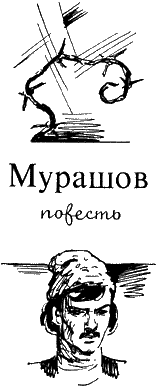 Мурашов. Иллюстрация № 1