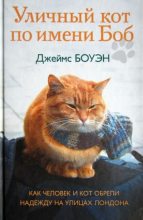 Топ книга - Джеймс Боуэн - Уличный кот по имени Боб. Как человек и кот обрели надежду на улицах Лондона - читаем полностью в ЛитВек