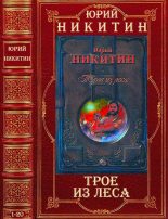 Топ книга - Цикл романов "Трое из леса". Компиляция. Романы 1-20 [Юрий Александрович Никитин] - читаем полностью в Litvek